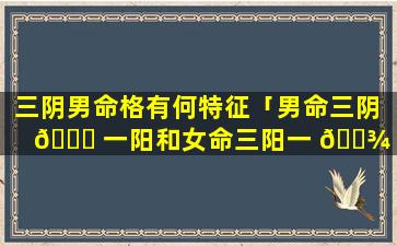 三阴男命格有何特征「男命三阴 🐟 一阳和女命三阳一 🌾 阴 合吗」